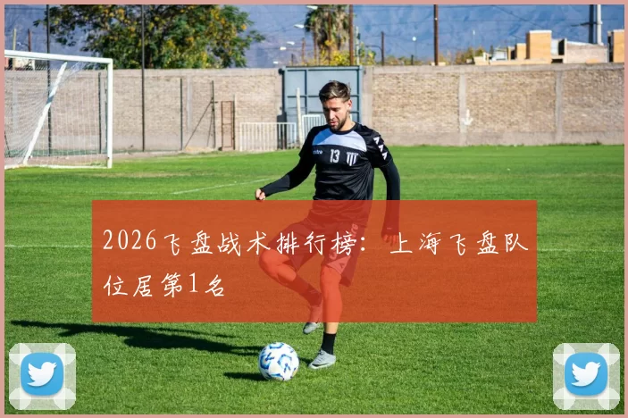 2026飞盘战术排行榜：上海飞盘队位居第1名