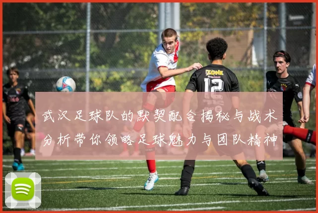武汉足球队的默契配合揭秘与战术分析带你领略足球魅力与团队精神