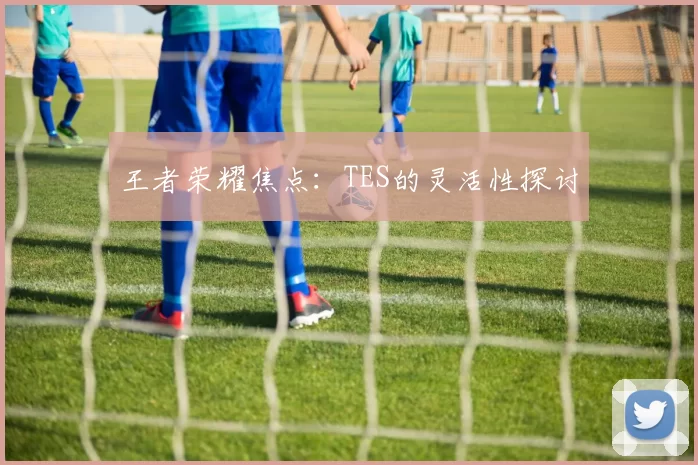 王者荣耀焦点：TES的灵活性探讨