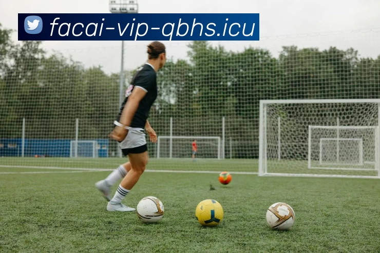 星空体育平台生态图